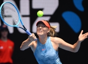 熊猫体育- 莎拉波娃经典比赛 