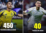 熊猫直播-C罗在TL比赛中赛事规则更新，精彩发挥引发热议！的简单介绍